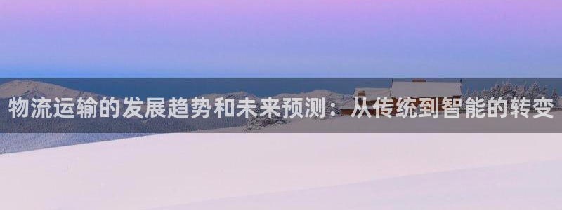 28圈登录不上咋回事：物流运输的发展