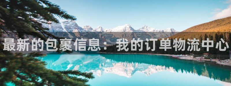 28圈官方网站是多少：最新的包裹信息