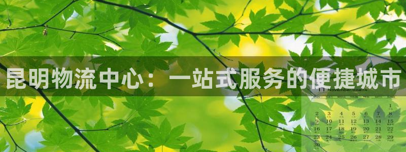 28圈返水怎么算的：昆明物流中心：一