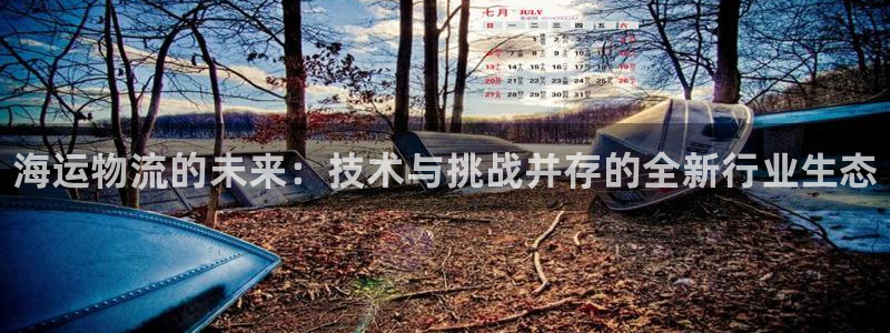 28圈分分压单双技巧：海运物流的未来：技术与挑战并存的全新行