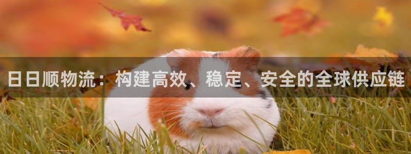 28圈黑吗：日日顺物流：构建高效、稳