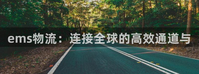 28圈图片：ems物流：连接全球的高效通道与