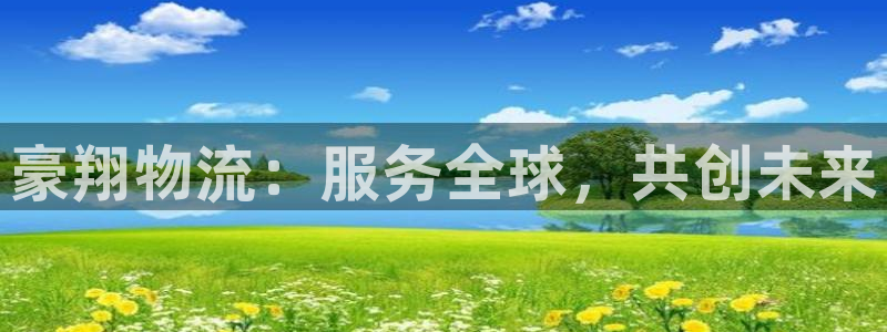 28圈app怎么注销：豪翔物流：服务