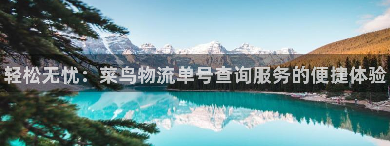 28圈.ccm2024:轻松无忧:菜