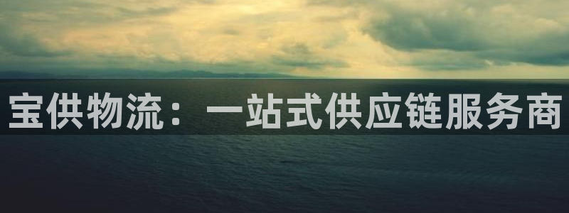 28圈能退款吗：宝供物流：一站式供应