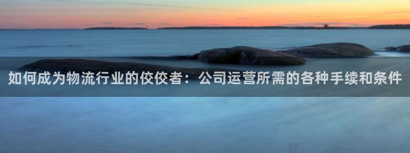 28圈怎么下载教程:如何成为物流行业