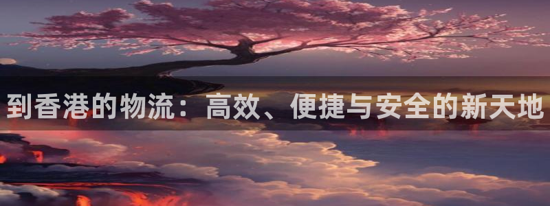 28圈那个才是充值账号:到香港的物流