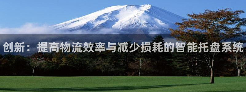 28圈充值方式:创新:提高物流效率与