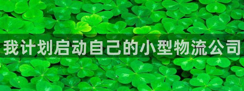 28圈加拿大：我计划启动自己的小型物