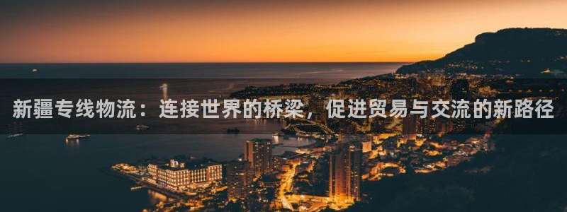 28圈官网网站：新疆专线物流：连接世