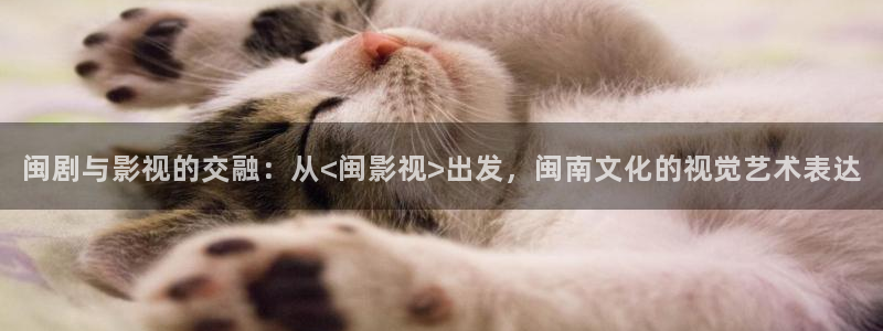 yy/t0969