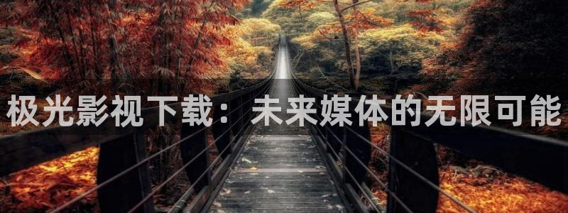 yy/t 0969