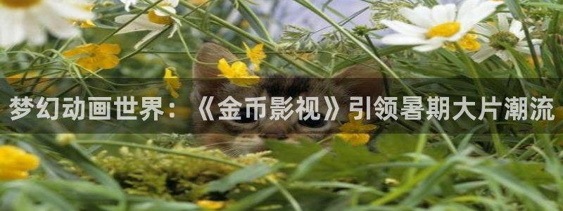 96视频人人