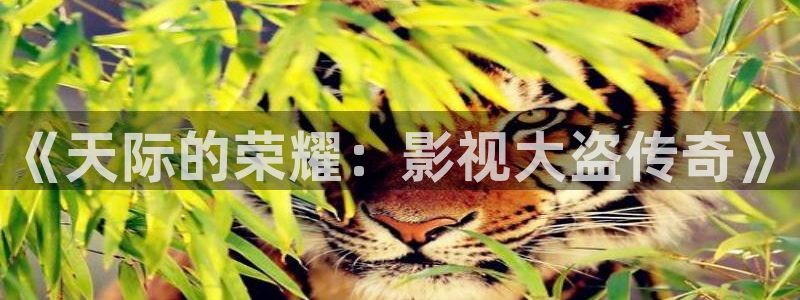 6996影视电影