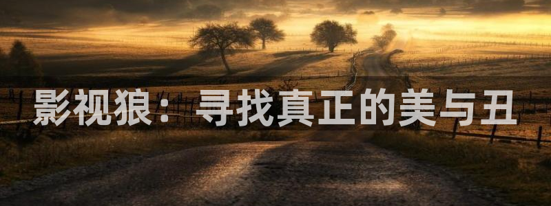 一区二三区国产96精东影业