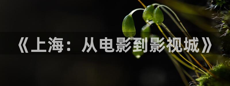 yy6969影院