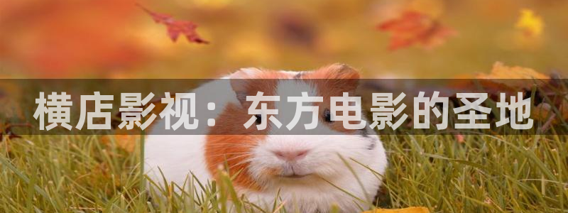 965影视
